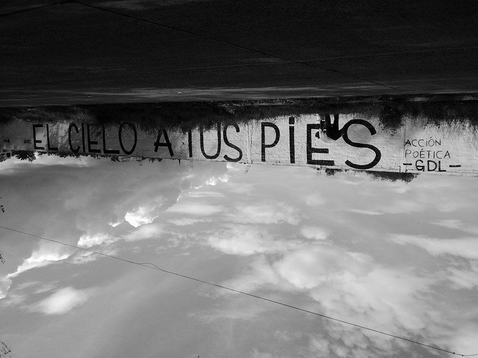 Acción Poética Guadalajara