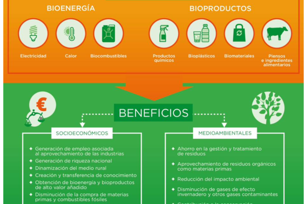 Captura de Pantalla 2025-06-11 a la(s) 15.38.56 Captura de Pantalla 2025-06-11 a la(s) 15.38.56
